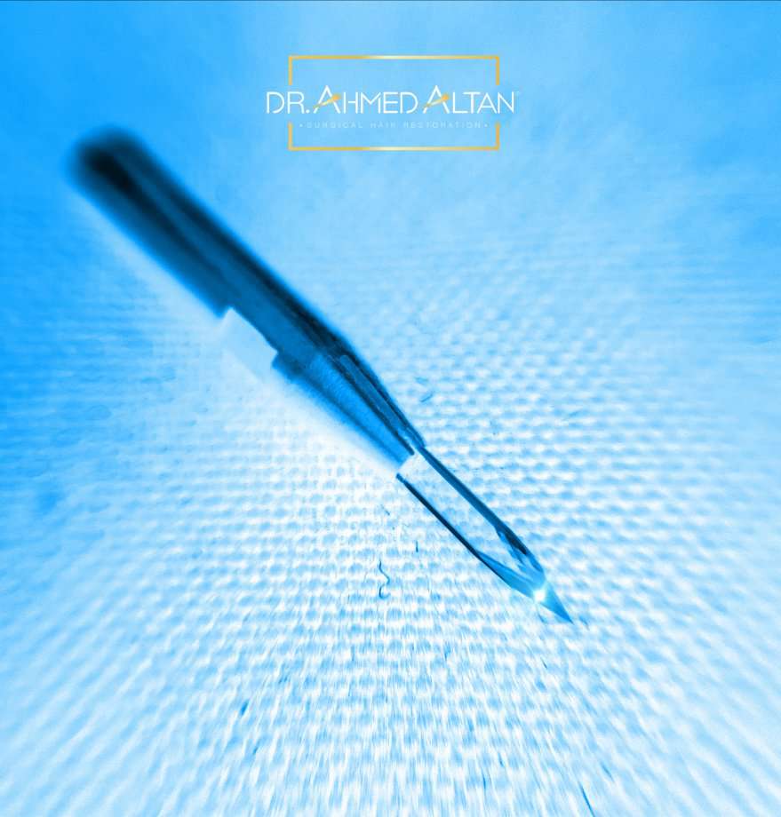 QUE SON LAS HOJAS DE ZAFIRO?